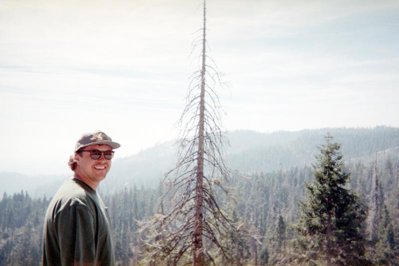 Sequoia on a Disposable photo 3